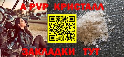 хмурый Шелехов